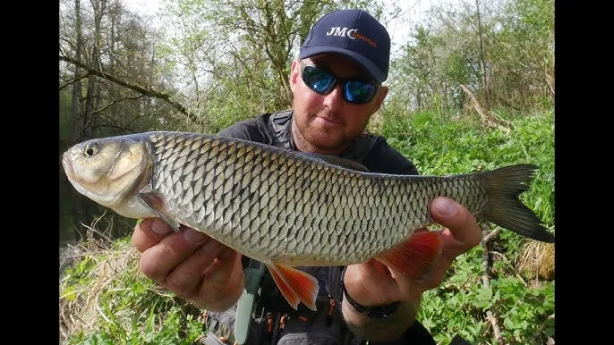 Przynęta z lśniącego metalu – jak skutecznie przyciągnąć drapieżniki