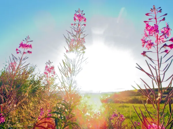 Jaka pogoda dzisiaj w Łebie? Sprawdź, co Cię czeka!