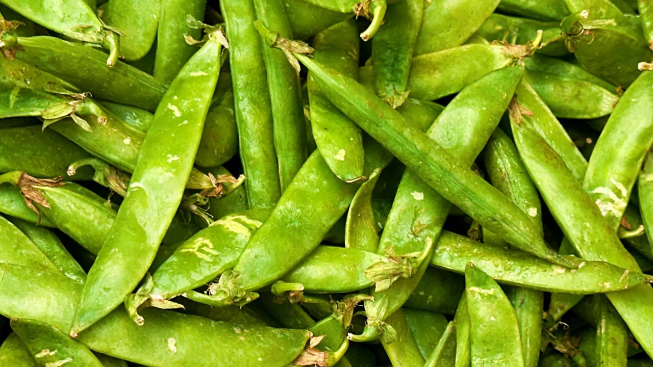 Czy groszek konserwowy jest dietetyczny? Odkryj jego ukryte zalety