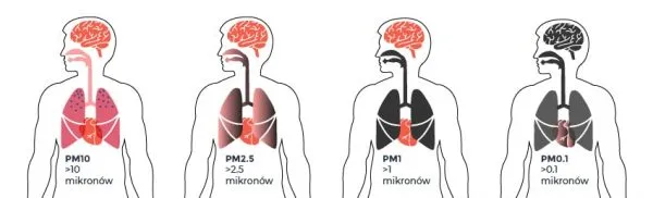 Skąd pochodzi pył PM10? Odkryj źródła zanieczyszczeń powietrza