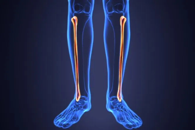 Co to goleń? Poznaj jej funkcje i zastosowania w kuchni oraz rehabilitacji