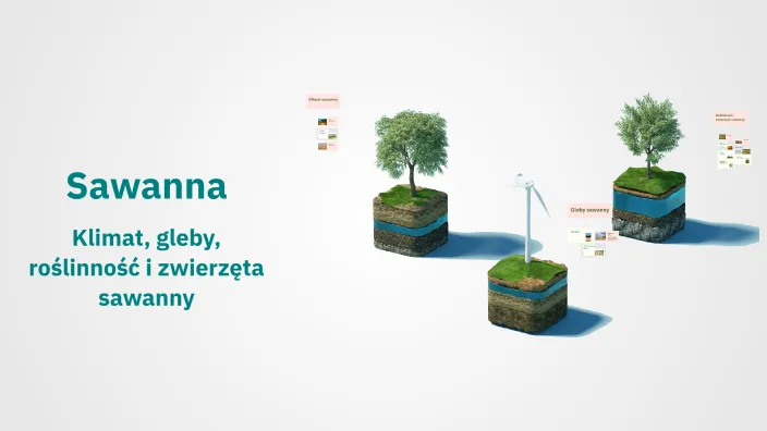 Jaki jest klimat na sawannie? Poznaj zaskakujące zmiany sezonowe