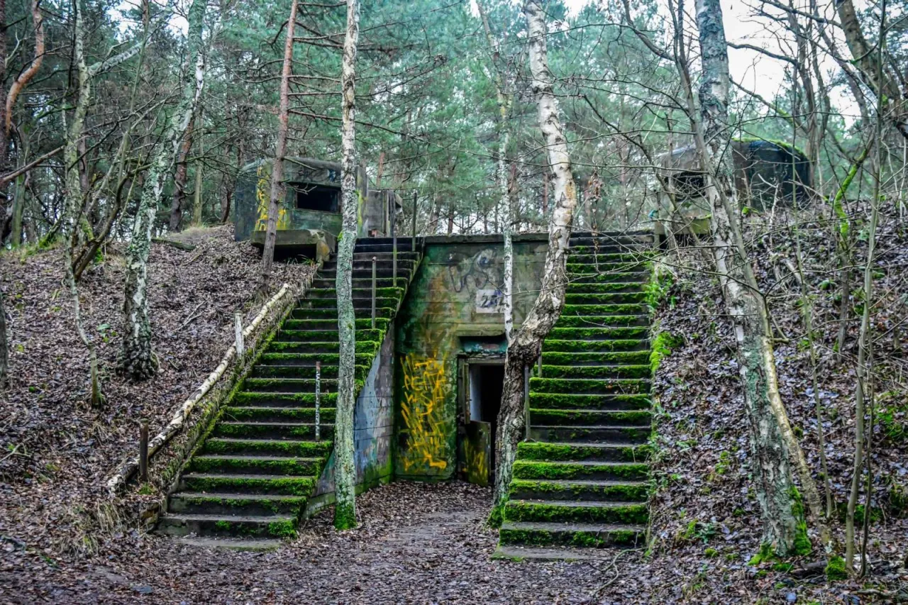 Rezerwat Helskie Wydmy: Co musisz wiedzieć przed wizytą?