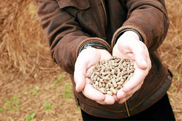Kiedy pellet jest najtańszy? Oszczędzaj na ogrzewaniu w sezonie