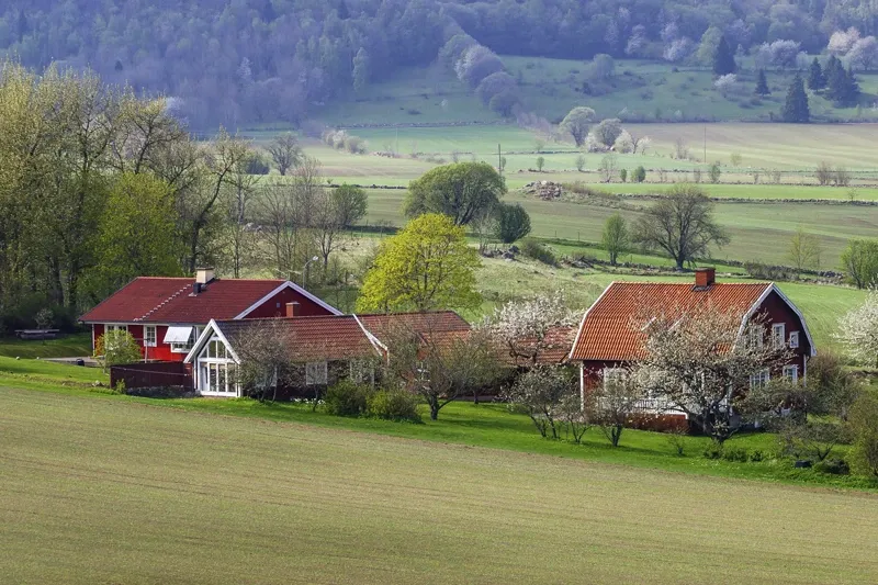 Odrębna własność lokalu: Co to znaczy? Prawa i obowiązki