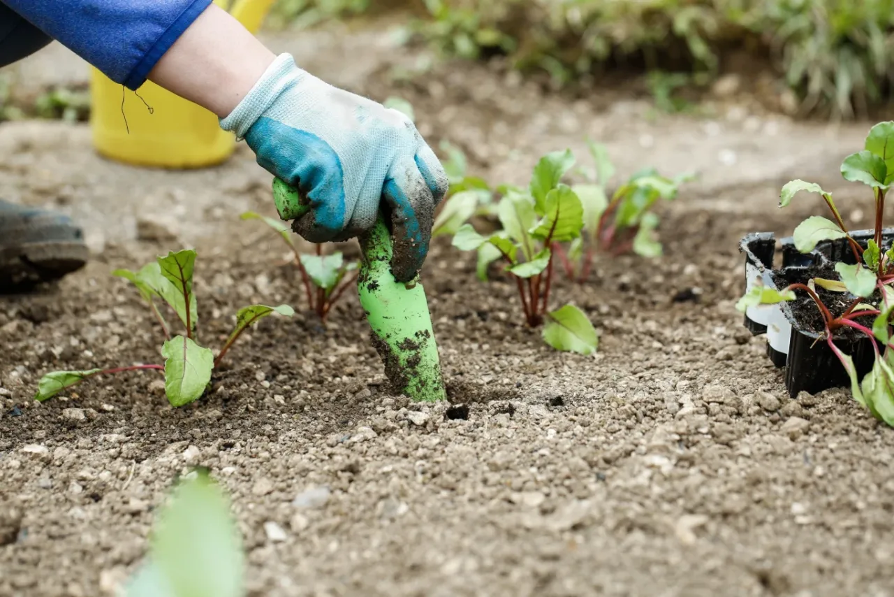 Wapno w płynie - jak skutecznie odkwasić glebę i zwiększyć plony?