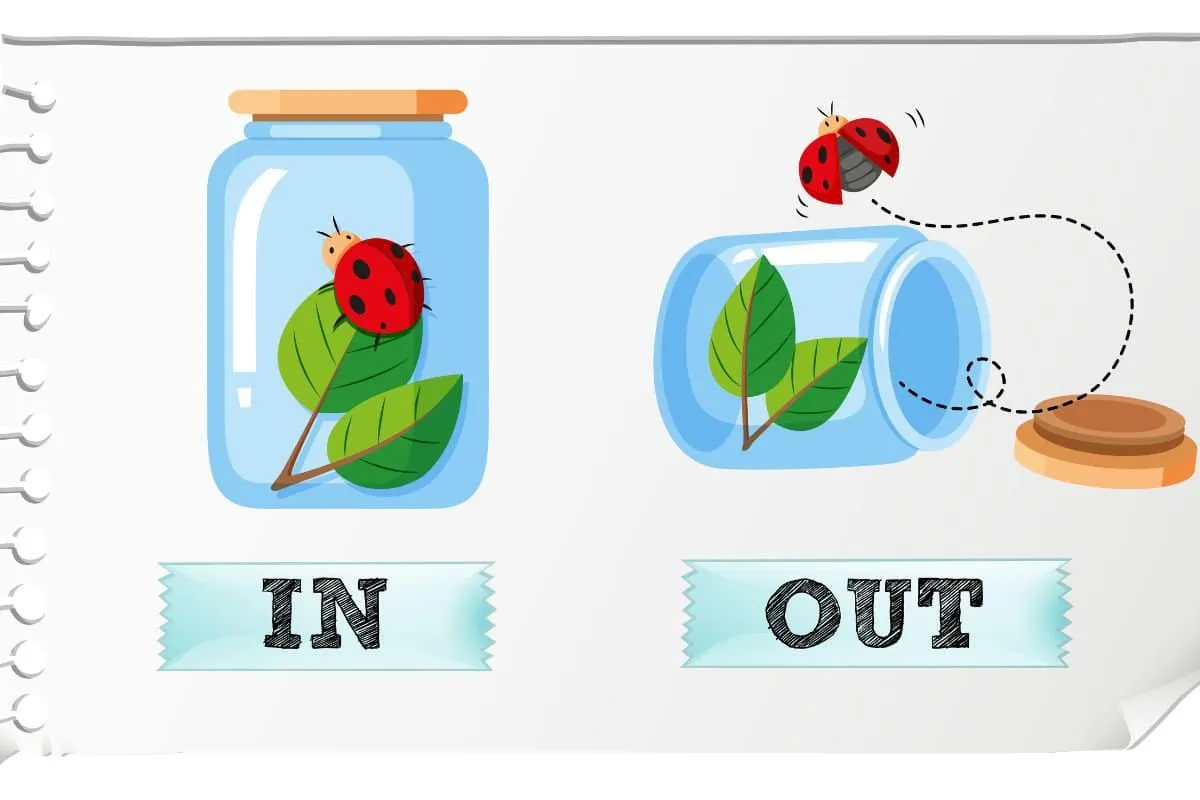 Przyimki w języku angielskim: kompletny przewodnik po użyciu przyimków