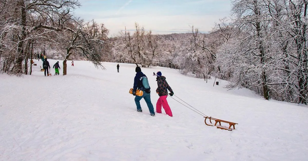 Gdzie na sanki Świętokrzyskie? Odkryj najlepsze miejsca na zimę