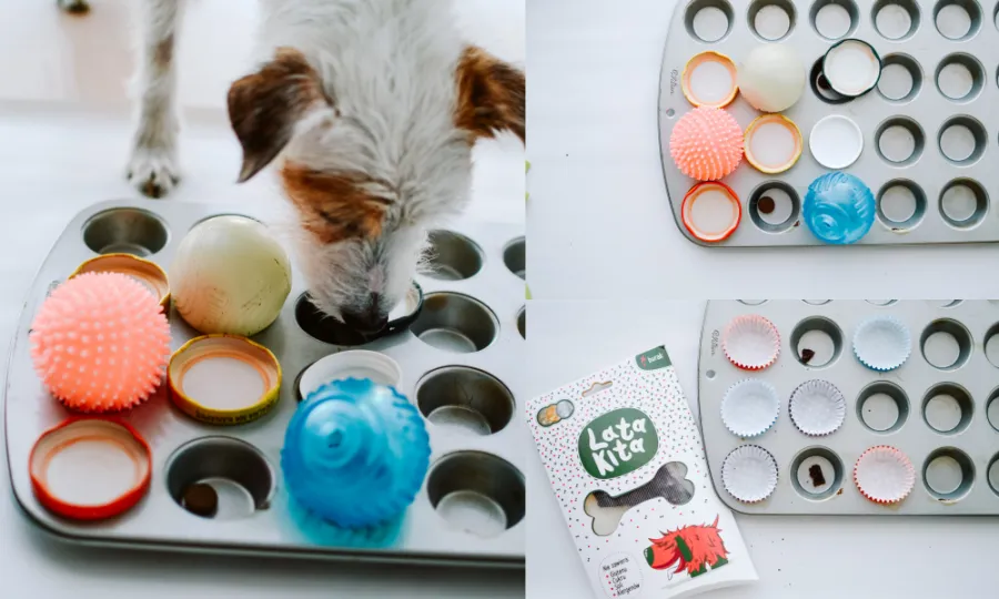 Zabawki edukacyjne dla psa DIY - stymulacja umysłu i zabawa w domu