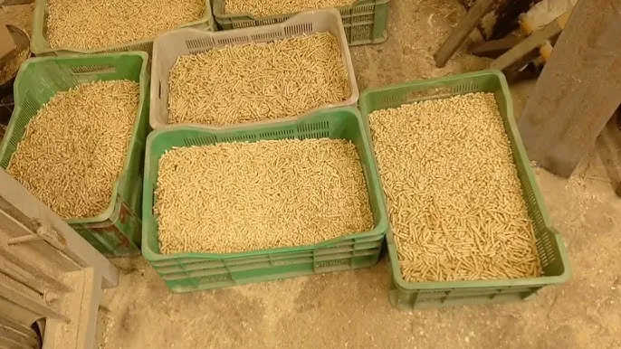 Jak zrobić pellet ze słomy - proste kroki na efektywne biopaliwo Jak zrobić pellet ze słomy - proste kroki na efektywne biopaliwo