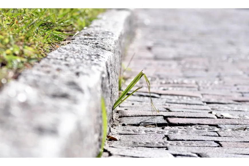 Jaki krawężnik na podjazd - wybierz najlepszy model dla swojego wjazdu