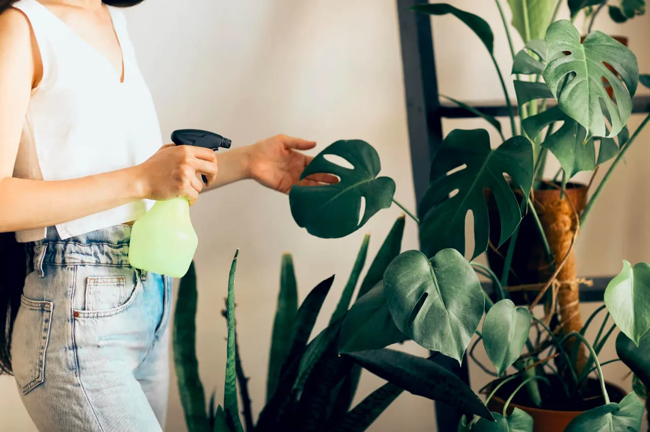 Jak nawilżyć powietrze? Domowe sposoby na suche powietrze w domu