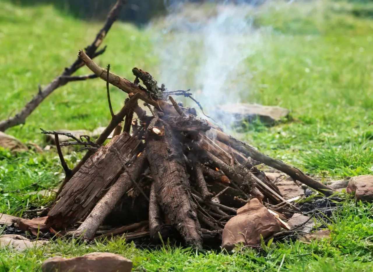 Co grozi za palenie ogniska w lesie? Poznaj kary i zasady