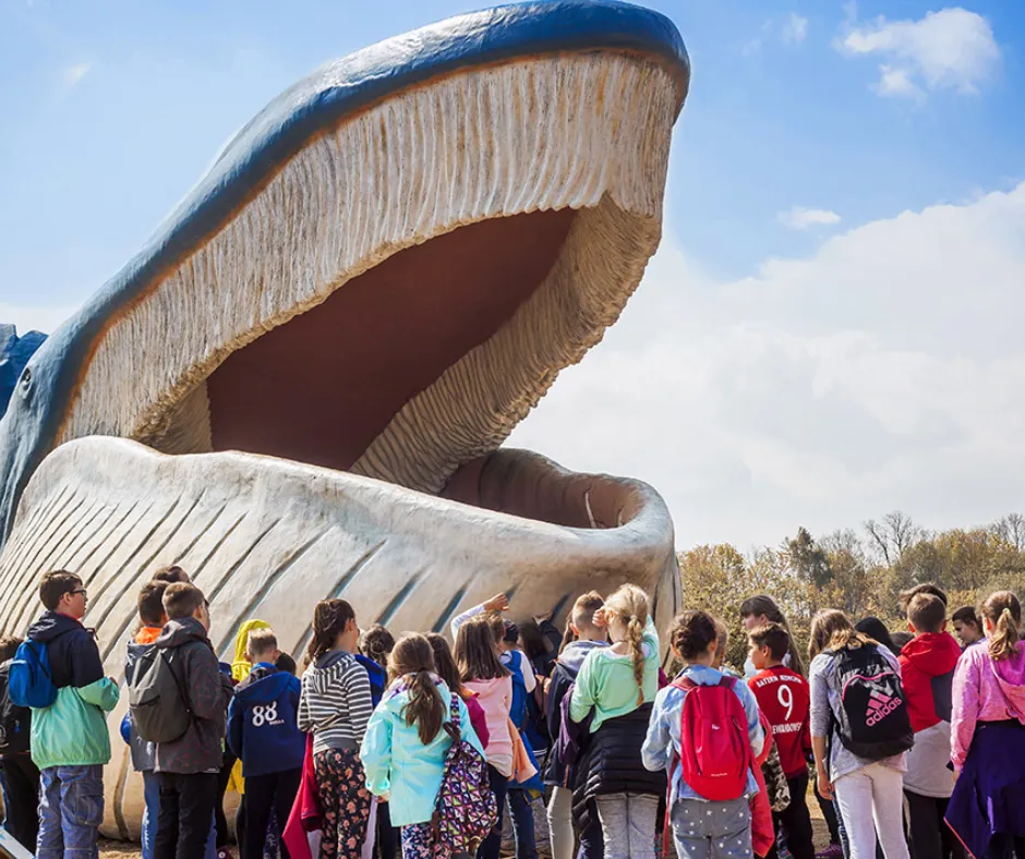 Najlepsze atrakcje w Władysławowie, które musisz zobaczyć na wakacjach