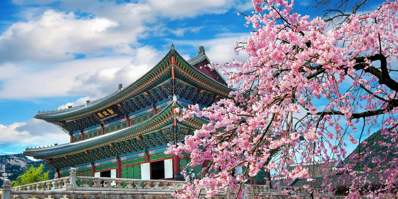 Ile kosztuje lot do Korei? Ceny, które mogą cię zaskoczyć