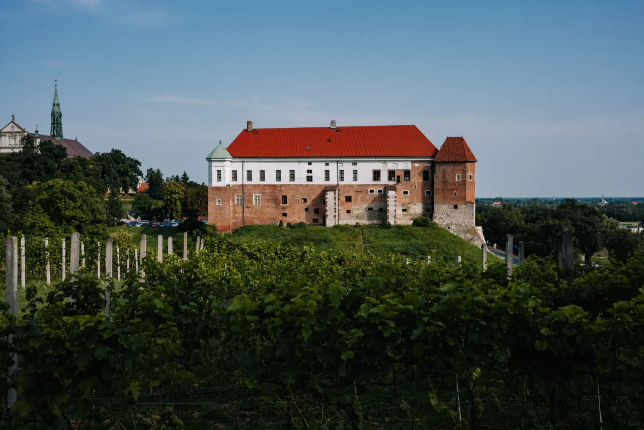 Co zjeść w Sandomierzu? Najlepsze potrawy i miejsca do spróbowania