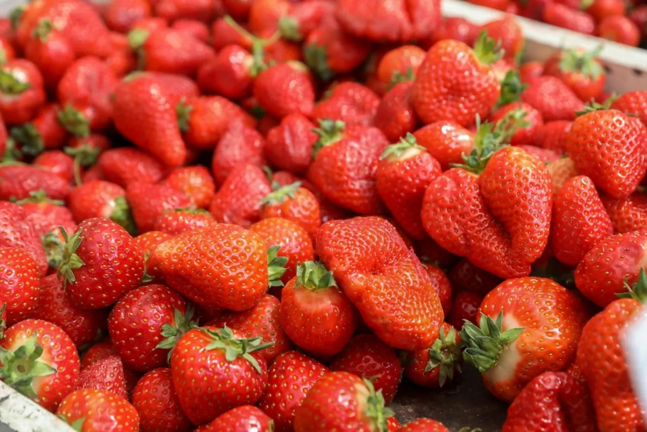Ile kosztują truskawki na skupie? Sprawdź ceny i trendy rynkowe