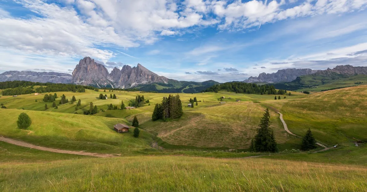 Czy wieża w Zawoi oferuje najlepszą panoramę Beskidów? Sprawdź sam