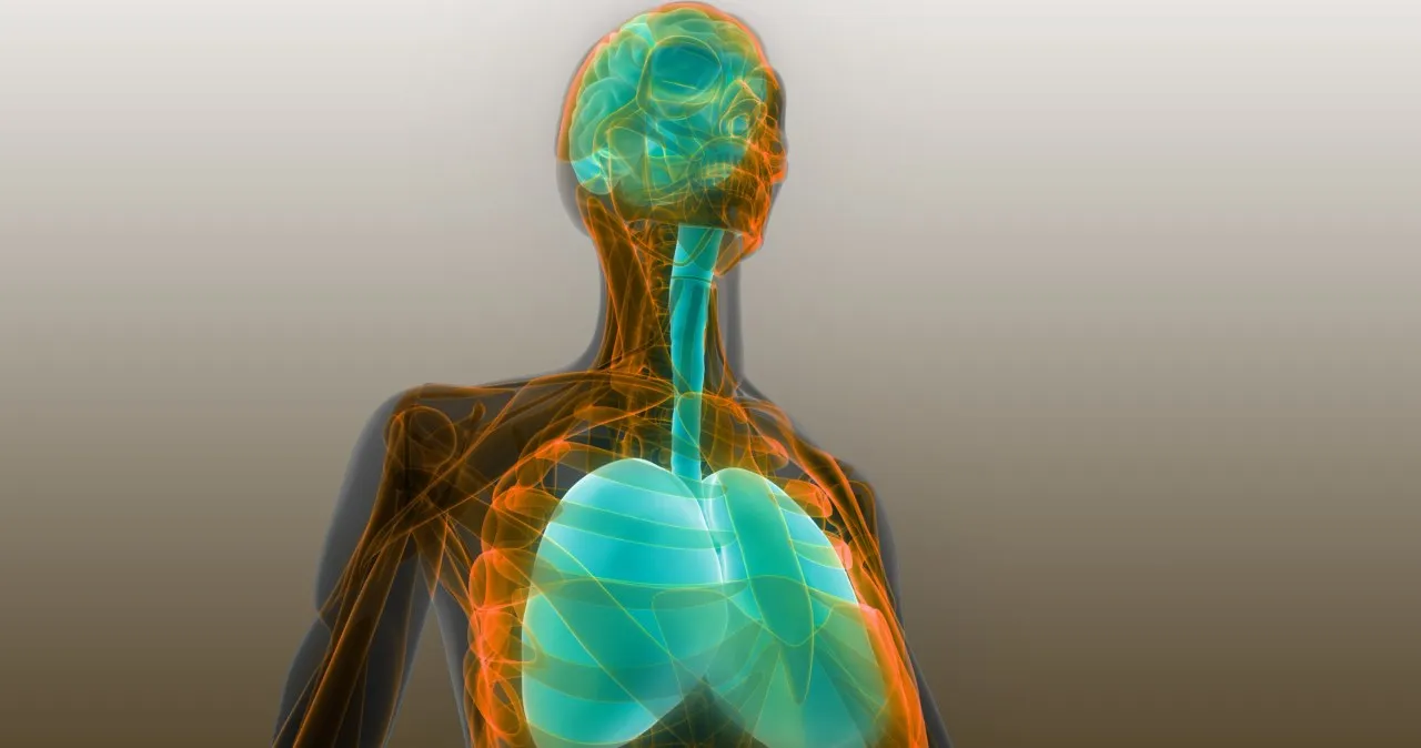 Smog: Niewidzialny wróg? Co to jest, jak szkodzi i jak się chronić