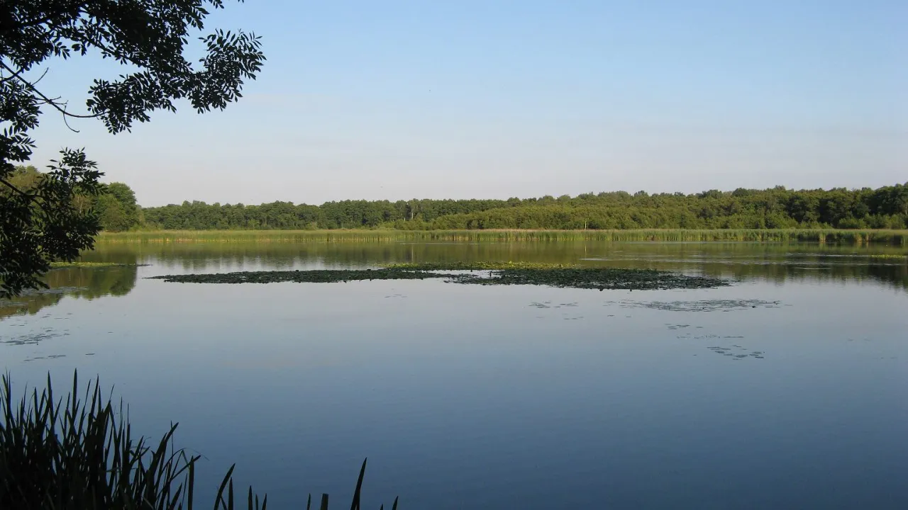 Rezerwaty przyrody w Polsce: Przewodnik po najpiękniejszych miejscach