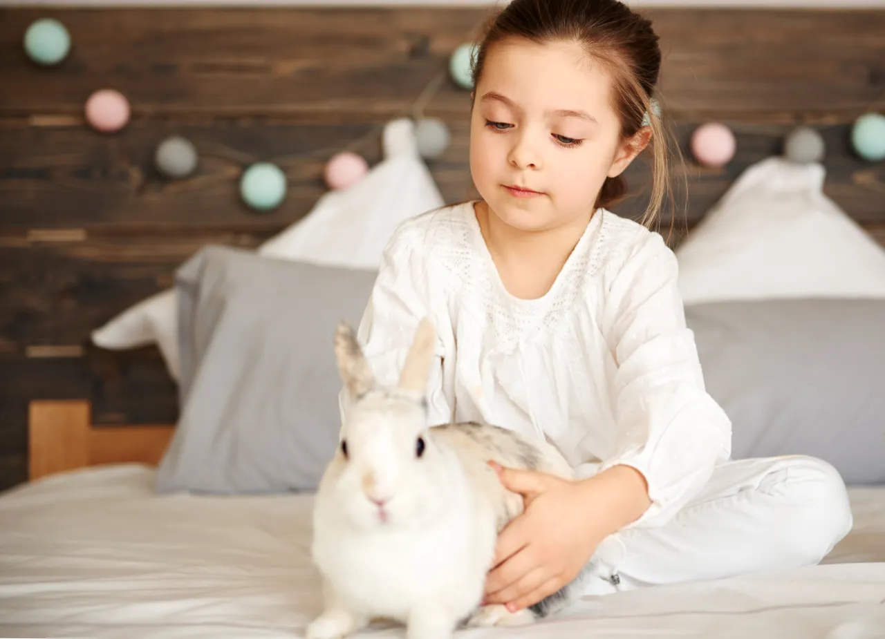 Ile kosztuje królik w zoologicznym? Ceny, które mogą Cię zaskoczyć