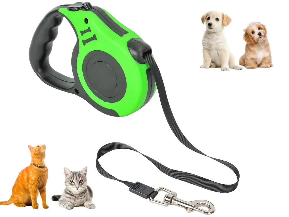 Ile kosztuje smycz dla psa? Zobacz, jakie ceny możesz znaleźć