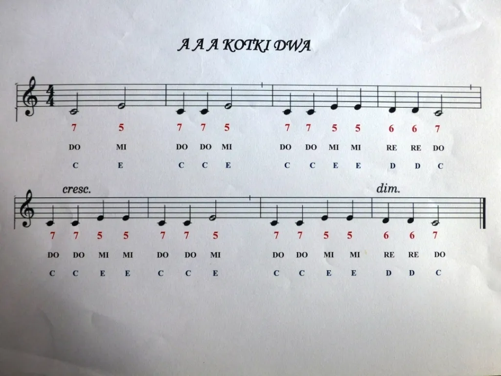 Jak zagrać na flecie wlazł kotek na płotek – proste nuty i techniki