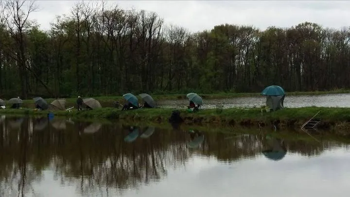 Łowisko Szachty opinie: Co wędkarze myślą o jakości połowów?