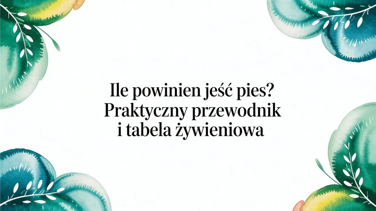Jak dawkować karmę psu? Oblicz zapotrzebowanie kaloryczne