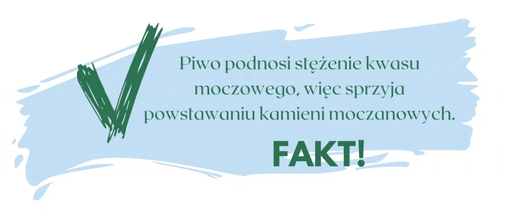 Czy piwo szkodzi na nerki? Odkryj niebezpieczeństwa dla zdrowia Czy piwo szkodzi na nerki? Odkryj niebezpieczeństwa dla zdrowia