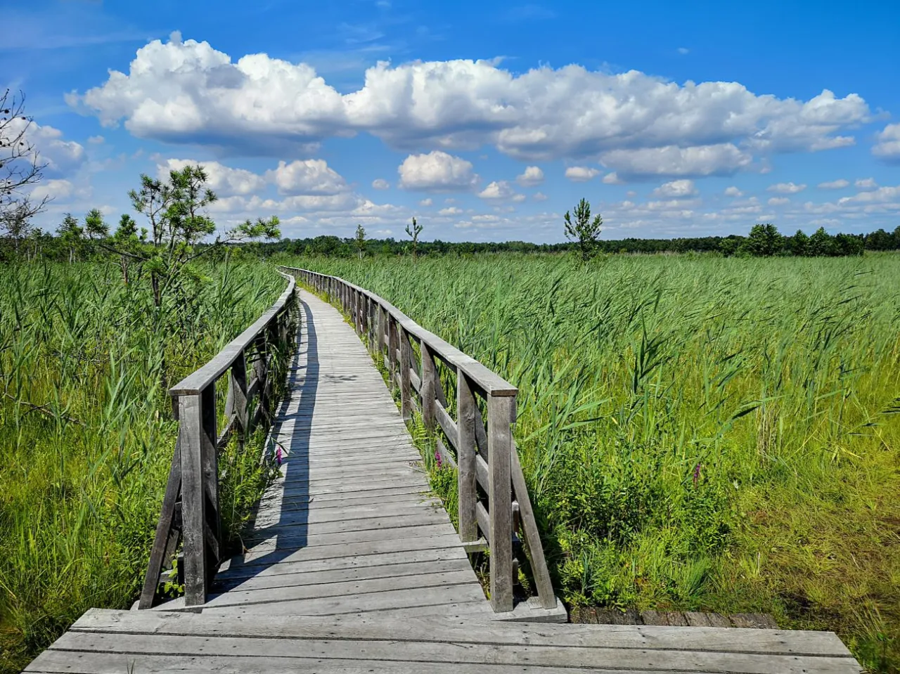 Niezapomniane atrakcje w Polesiu Lubelskim, które musisz zobaczyć