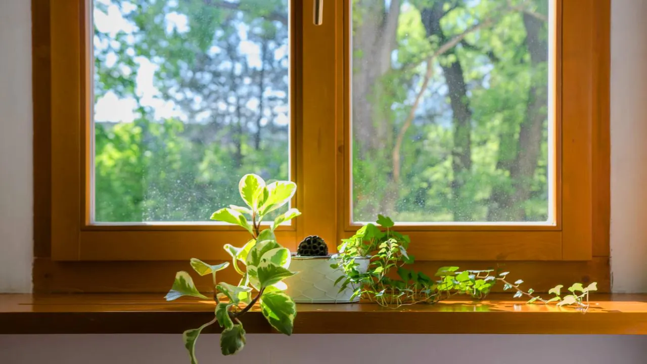 Okna drewniane czy plastikowe? Opinie, które pomogą w wyborze najlepszego rozwiązania