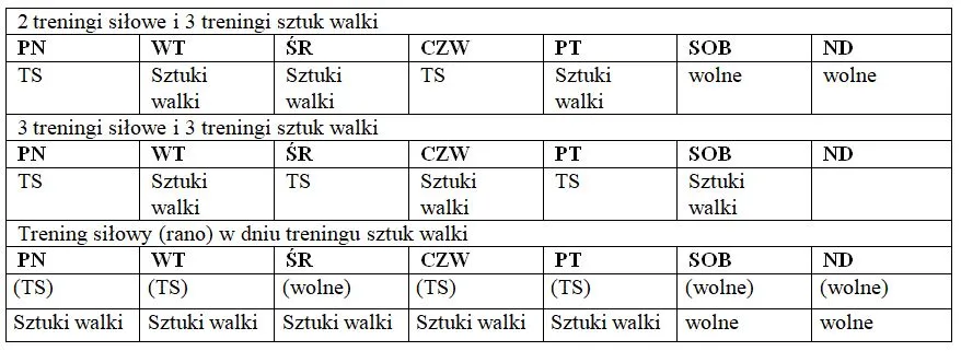 Jak cwiczyc MMA: skuteczne techniki i plany treningowe dla początkujących