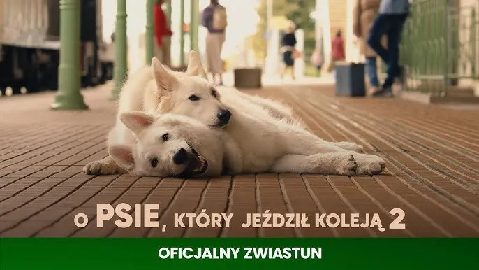 Film o psie który jeździł koleją dla dzieci – wzruszająca historia przyjaźni