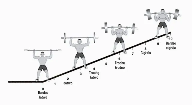  Trening FBW dla początkujących - plan na zbudowanie masy mięśniowej od podstaw
