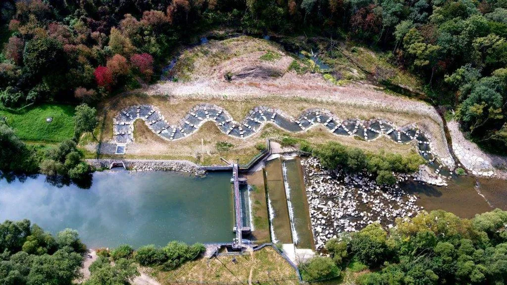 Jezioro Zemborzyckie w Lublinie – idealne miejsce na relaks i rekreację Jezioro Zemborzyckie w Lublinie – idealne miejsce na relaks i rekreację