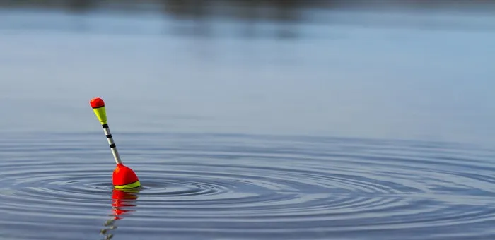 Wybierz spławik na karpia: poradnik eksperta dla lepszych brań