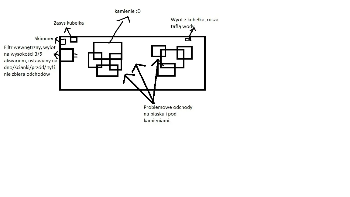 Jak prawidłowo ustawić filtr w akwarium, aby uniknąć problemów z wodą