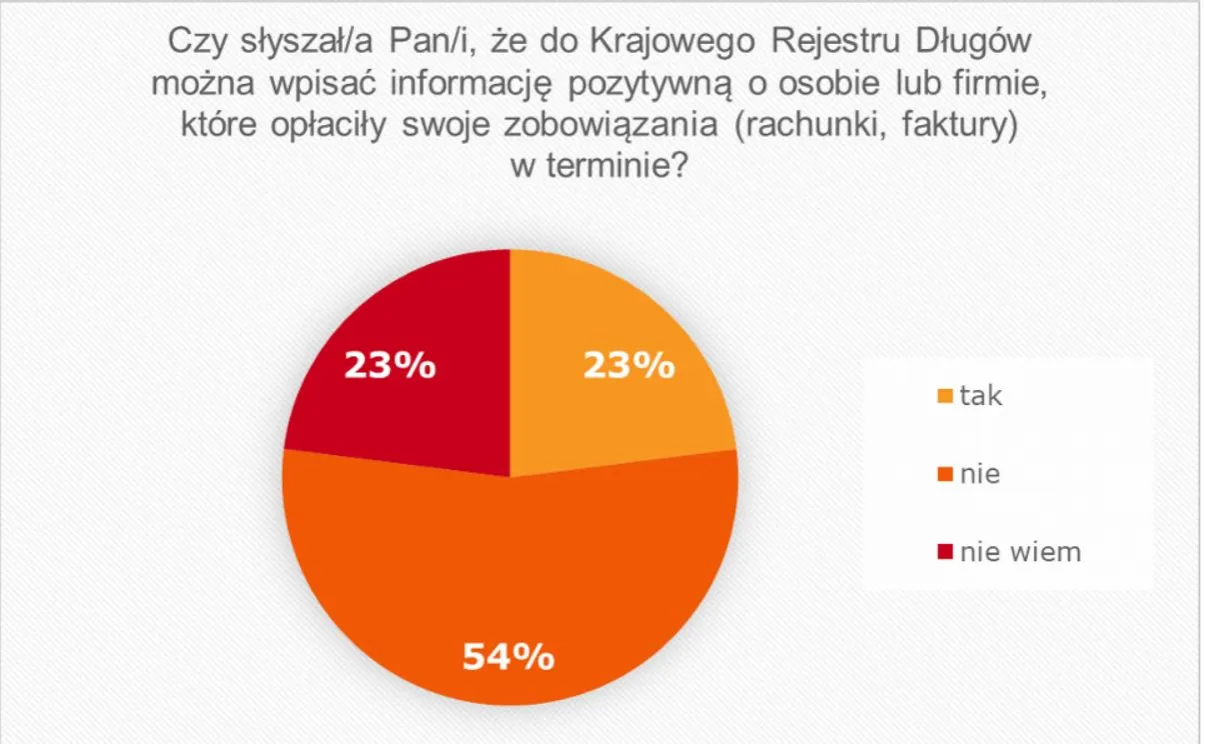 Jak działa Krajowy Rejestr Długów i co musisz wiedzieć, aby uniknąć problemów