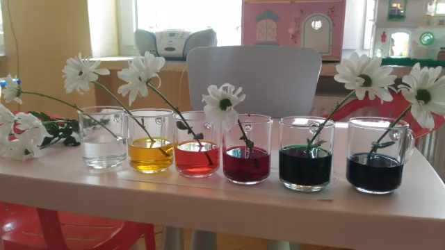 Eksperyment z kwiatkiem atramentem: Jak zabarwienie wpływa na rośliny Eksperyment z kwiatkiem atramentem: Jak zabarwienie wpływa na rośliny