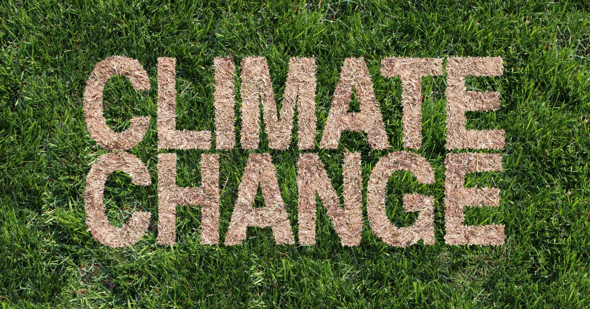 Dlaczego klimat się ociepla? Odkryj niepokojące przyczyny zmian