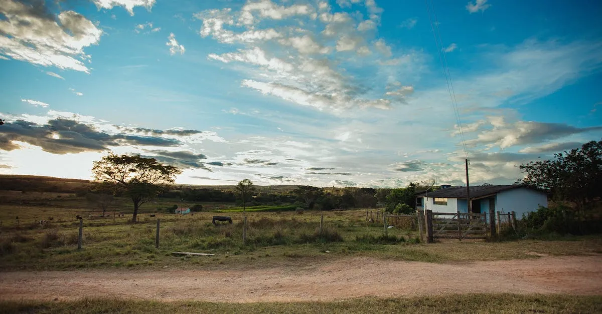 Co wpływa na koszty działek rolnych? Analiza cen i trendów