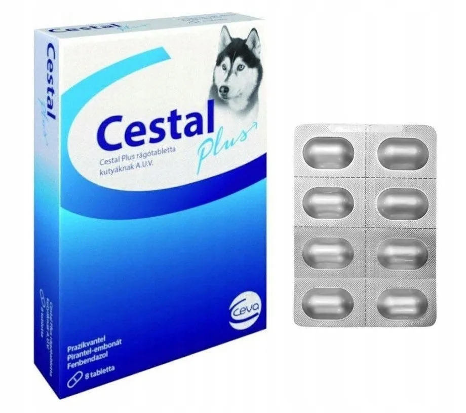 Jak działa tabletka na odrobaczanie psa i co musisz wiedzieć?