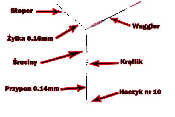 Jak założyć spławik przelotowy i uniknąć najczęstszych błędów