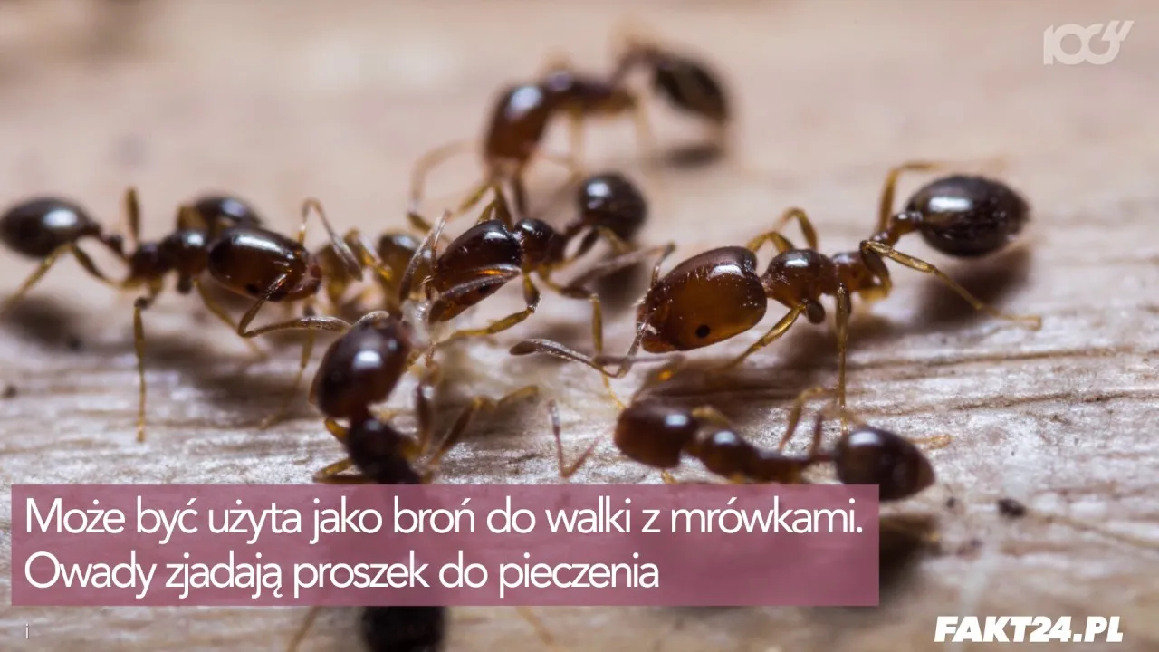 Jak wykorzystać przeterminowany proszek do pieczenia? Sprytne triki!
