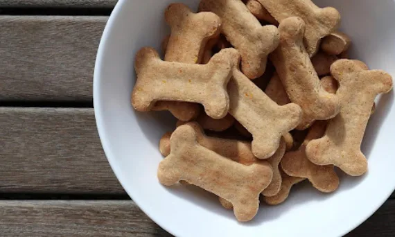 Ciastka dla psa? Dlaczego mówię NIE i co podać zamiast