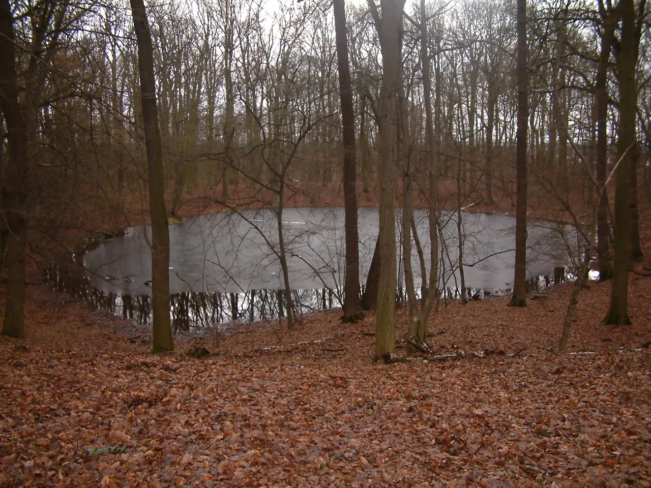 Rezerwat Meteoryt Morasko: kosmiczna historia, dzika przyroda