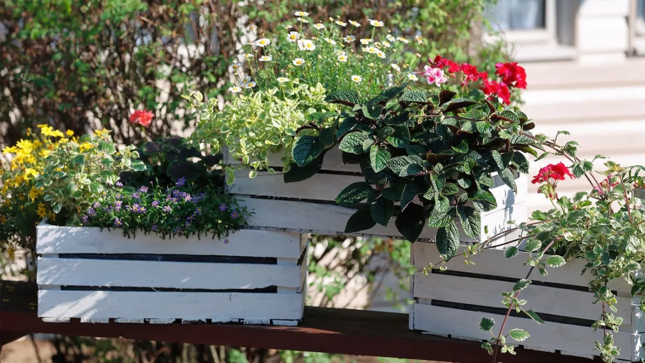 Jak zrobić kwietnik ze skrzynki po jabłkach i odmienić swoją przestrzeń