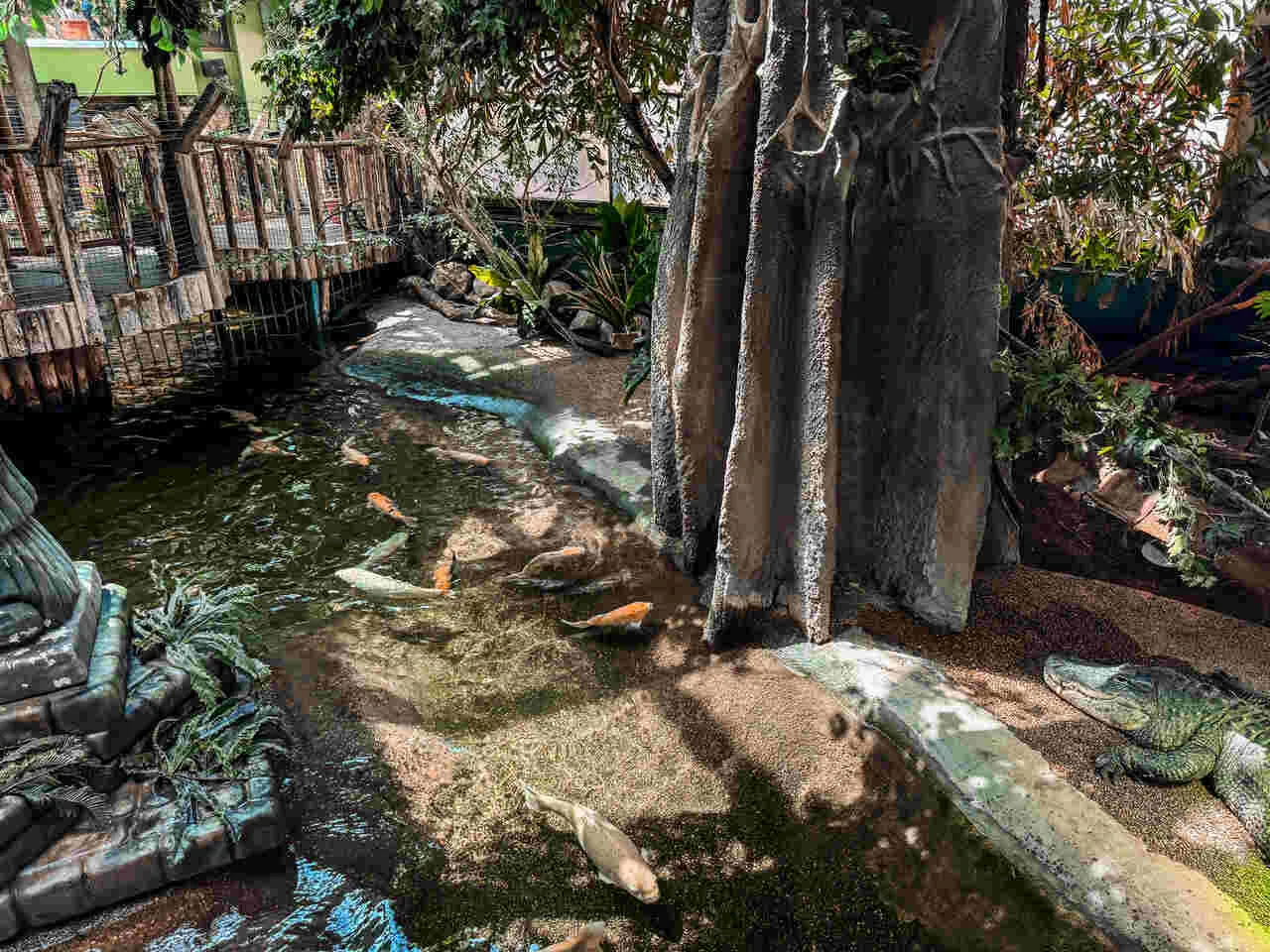 Tropicarium w Budapeszcie - Niezapomniane atrakcje i ceny biletów