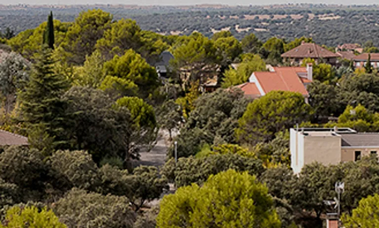 Todo lo que necesitas saber sobre urbanización el bosque Madrid
